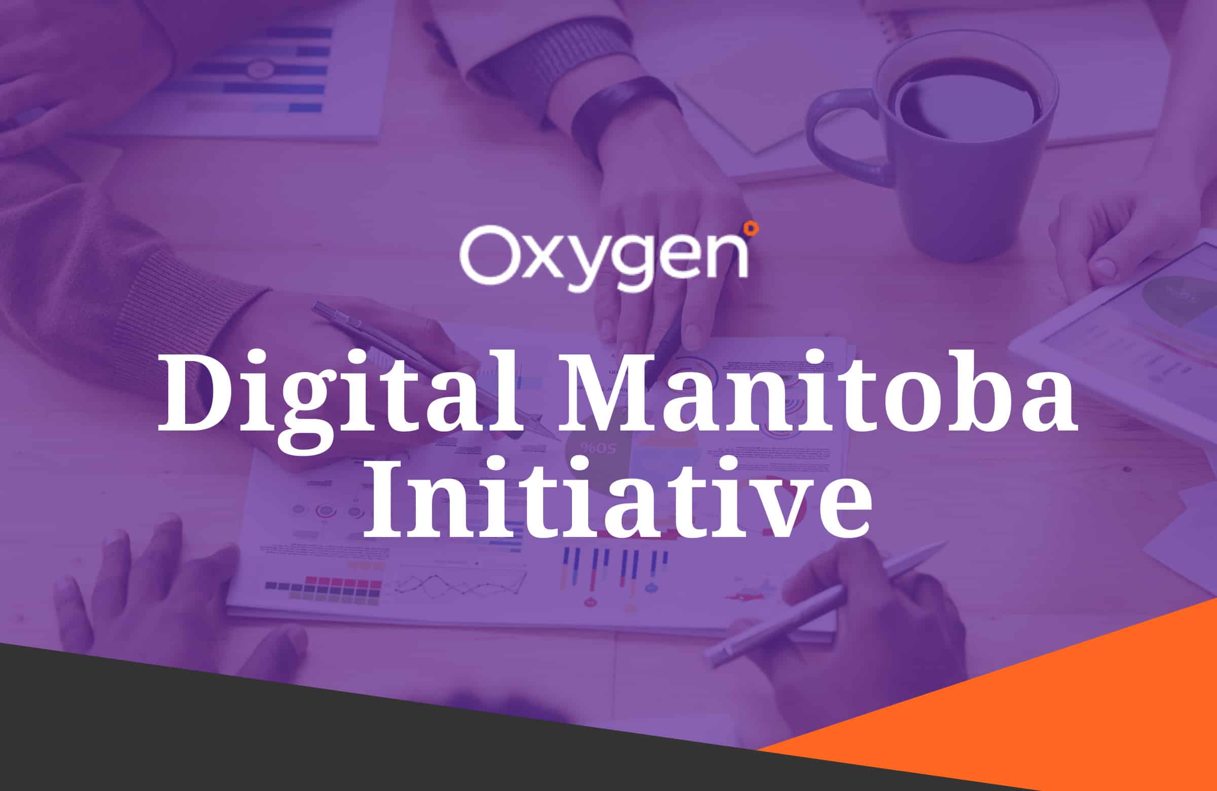 Digital Manitoba Initiative